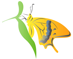 自然界での香りの存在理由