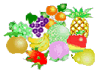 �t���[�c