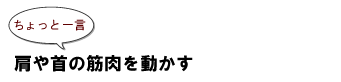 ~ちょっと一言:肩や首の筋肉を動かす