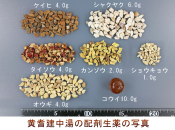 黄耆建中湯の配剤生薬