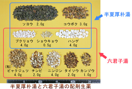 半夏厚朴湯と六君子湯の配剤生薬
