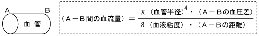 （血圧）＝（心臓から送り出される血液量）×（血管抵抗）