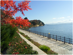 宍道湖を望む秋景色
