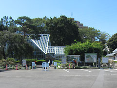 東京都薬用植物園