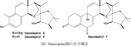 blazeispinol類の化学構造