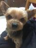 ファイル名: NONALNUM-MjAxOC4xLjE144Oh44Kk-E.jpg
ファイルサイズ: 2.3KB NONALNUM-MjAxOC4xLjE144Oh44Kk-E