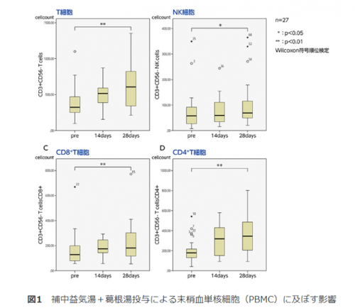 補中益気湯+葛根湯投与による末梢血単核細胞(PBMC)に及ぼす影響