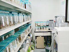 漢方薬調剤室。長崎市唯一の漢方・生薬全自動高速分包機を設置。