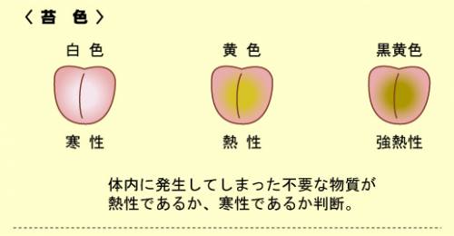 ファイル名: tan-koke.jpg
ファイルサイズ: 32.4KB
→クリックで元のサイズを表示 tan-koke