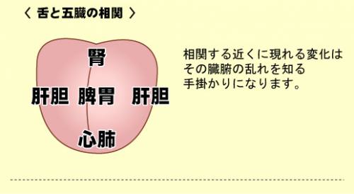 ファイル名: tan-sokan.jpg
ファイルサイズ: 35.1KB
→クリックで元のサイズを表示 tan-sokan