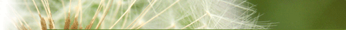 30�N�̊������k�o�� �������ǂւ悤����
