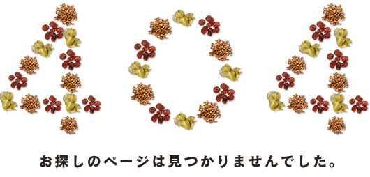 お探しのページは見つかりませんでした。