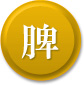 脾