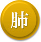 肺