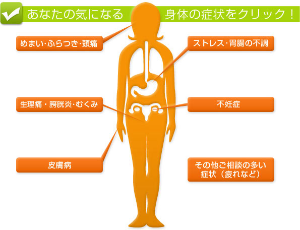 めまい･耳なり･頭痛／胃痛･胃腸の不調／尿･むくみ／不妊症／皮膚病／その他ご相談の多い症状（疲れなど）