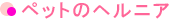 ペットのヘルニア