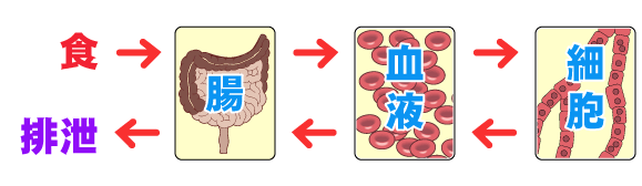 食のあり方