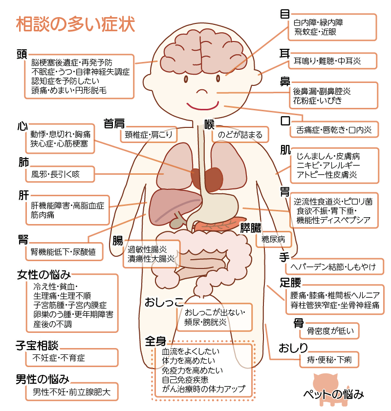 相談の多い症状・分野