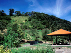 北海道医療大学 薬用植物園・北方系生態観察園