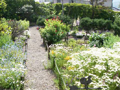 ハーブガーデンミモザ