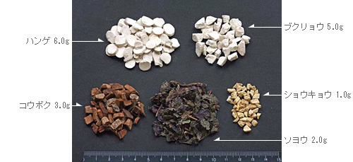 ハンゲ 6.0g
ブクリョウ 5.0g
コウボク 3.0g
ソヨウ 2.0g
ショウキョウ 1.0g