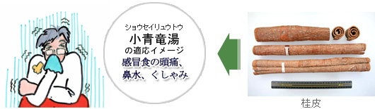 小青竜湯の適応イメージ