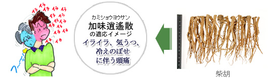 加味逍遙散の適応イメージ