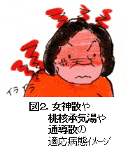 図2.女神散や桃核承気湯や通導散の適応病態イメージ
