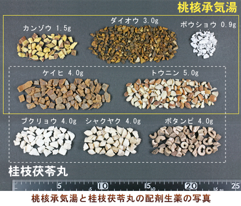 桃核承気湯と桂枝茯苓丸のの配剤生薬の写真