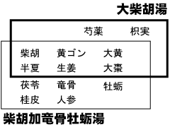 大柴胡湯と柴胡加竜骨牡蛎湯