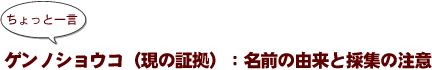 ~ちょっと一言:ゲンノショウコ(現の証拠):名前の由来と採集の注意