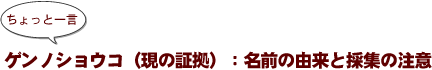 ～ちょっと一言：ゲンノショウコ（現の証拠）：名前の由来と採集の注意