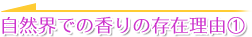 自然界での香りの存在理由①