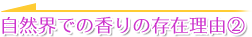 自然界での香りの存在理由(2)