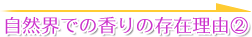 自然界での香りの存在理由(2)