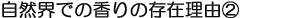 自然界での香りの存在理由(2)