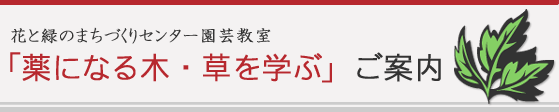 花と緑のまちづくりセンター園芸教室「薬になる木･草を学ぶ」ご案内