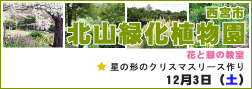 「西宮市北山緑化植物園　花と緑の教室　星の形のクリスマスリース作り」