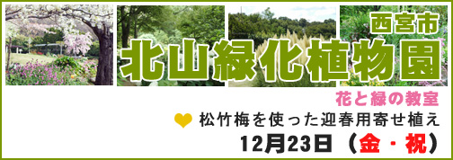 「西宮市北山緑化植物園  花と緑の教室 松竹梅を使った迎春用寄せ植え」