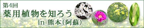 第4回薬用植物を知ろう in 熊本(阿蘇)