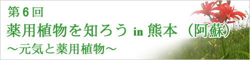 第6回薬用植物を知ろう in 熊本(阿蘇)