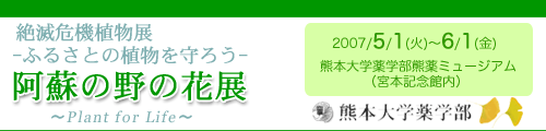 絶滅危機植物展 ふるさとの植物を守ろう 阿蘇の野の花展 ～Plant for Life～