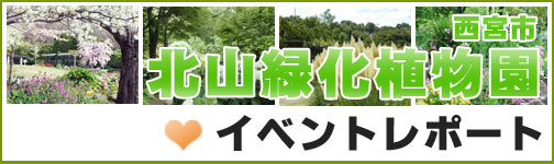 西宮市北山緑化植物園　～イベントレポート～