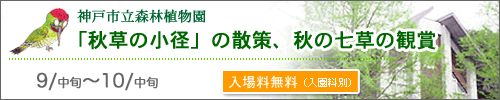 「秋草の小径」の散策、秋の七草の観賞