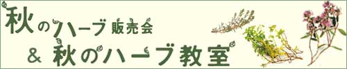 秋のハーブ販売会＆ハーブ教室・高知県立牧野植物園