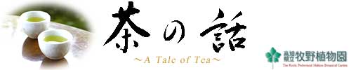 平成17年度企画展 植物からの贈りものシリーズ第3回 茶の話