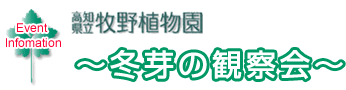 冬芽の観察会　-高知県立牧野植物園-