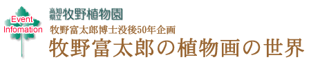 牧野富太郎博士没後50年企画 牧野富太郎の植物画の世界　-高知県立牧野植物園-