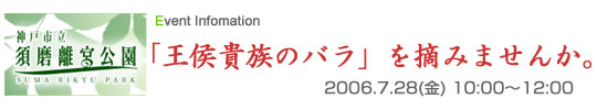 神戸市立須磨離宮公園 「王侯貴族のバラ」を摘みませんか。