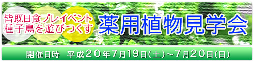 皆既日食プレイベント種子島を遊びつくす 薬用植物見物会